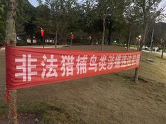 -中山市树木园
