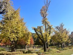 -南京银杏湖乐园