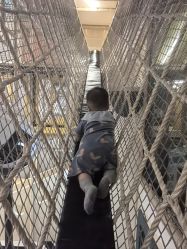 -奈尔宝家庭中心·亲子餐厅(苏州大悦城店)