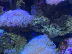 -江和美海洋公园