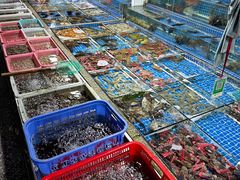 -霞涌市场海鲜摆卖区