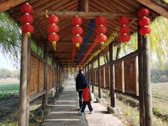 -长兴太湖图影湿地文化园