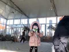 -1982农场