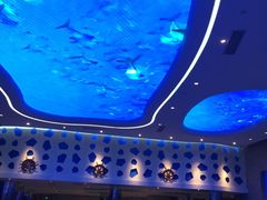 -瑞德姆美人鱼海底演艺主题餐厅(亚龙湾店)