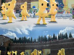 -贵州森林野生动物园