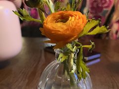 -Uncle Kosto科斯托·中东菜