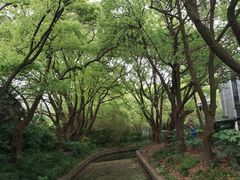 -西郊宾馆·1921餐厅