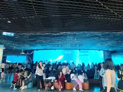 -海合安成都极地海洋公园