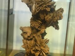 -武汉花鸟市场