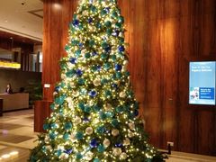 -香港尖沙咀凯悦酒店