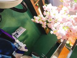 -逸丝风尚