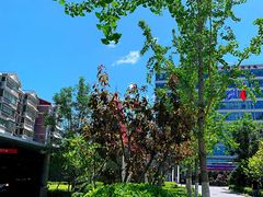 -首都医科大学附属北京潞河医院