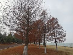 -苏州东太湖生态园