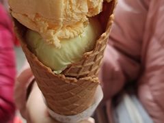 -成裕雪糕店(士多店)