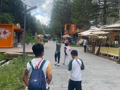 -汤旺河林海奇石景区