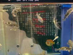 -肆月河豚·新淮扬菜·烤鸭(中关村店)