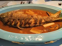 -阿五黄河大鲤鱼(英协路店)