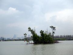 -芒洲湿地公园