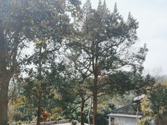 -无锡梅园公园