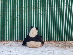 -沈阳森林动物园