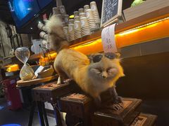 -杂咖zacup(领展中心城店)