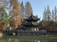 -习家池