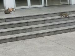 -东华大学(松江校区)