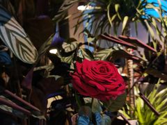 -West10 西拾·西餐厅·创意菜(未来科技城店)