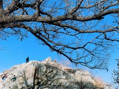 -北京鹫峰国家森林公园