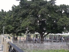 -黄埔古港