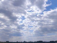 -大兴滨河森林公园