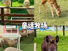 -盈香心动乐园