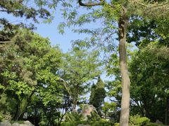 -燕窝岭
