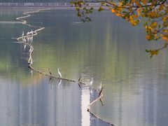 -南宁南湖公园