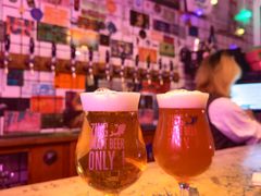 -ZING鲸鱼啤酒(葡萄院店)