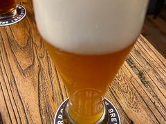 -Arrow Factory Brewing箭厂啤酒