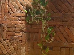 -金掌勺东北菜(格兰晴天店)