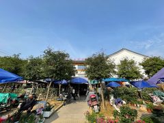-长兴慧子土特产茶行