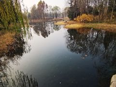 -北坞公园