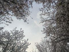 -堤角公园