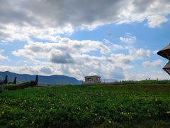 -光明小镇欢乐田园