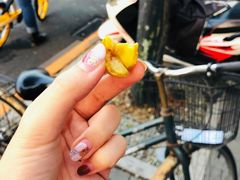 糖炒栗子-秋栗香(地安门店)