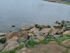 -丁香湖公园