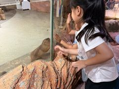 -正佳雨林生态植物园