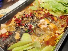 -青青河边草·小小河边鱼(万达广场太仓店)