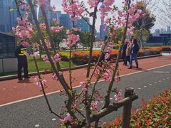 -北外滩滨江绿地