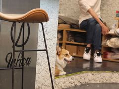 -Infica Coffee