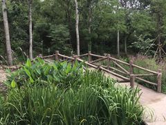 -白水寺森林公园