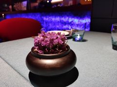 -三利音·玖弄小鲜(浦东嘉里城店)
