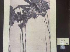 -八大山人梅湖景区